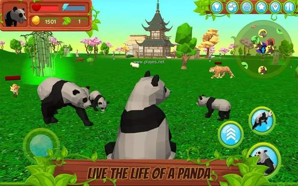 大熊猫模拟器3d