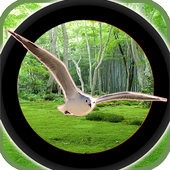 森林3D鸟类狩猎
