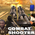 Combat Shooter
