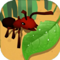 蚂蚁进化3d青蛙boss最新