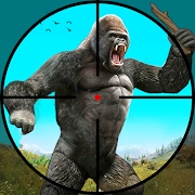 狩獵野生大猩猩2021