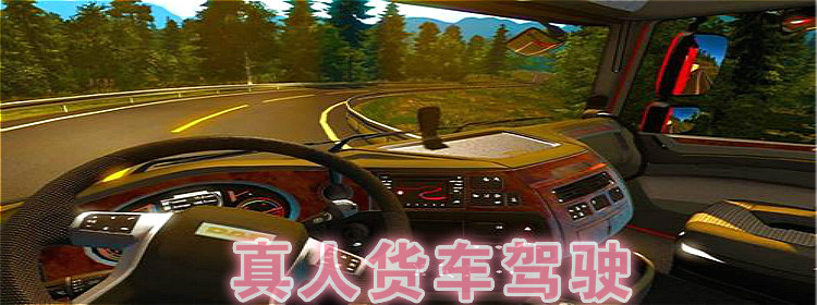 真人货车模拟驾驶游戏