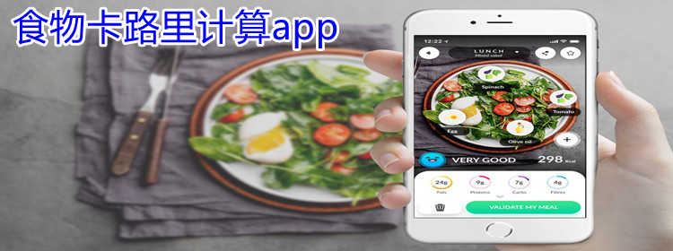 食物卡路里计算app
