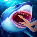 饥饿鲨：进化