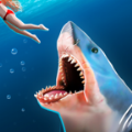 鲨鱼跑游戏官方版手机版
