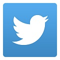 小蓝鸟twitter