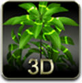 我的3D植物(My 3D plant)安卓版